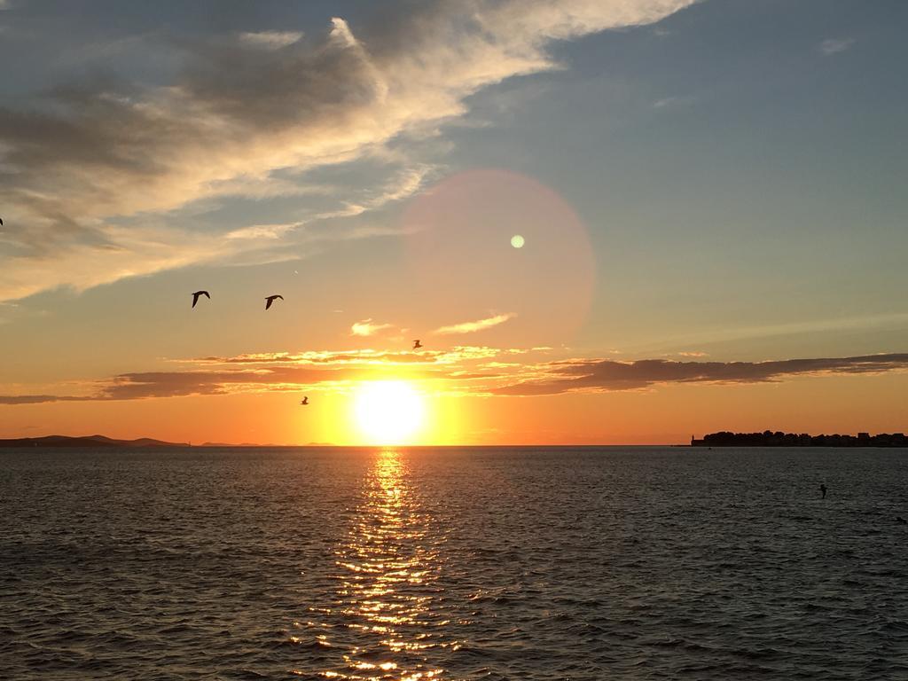 Guest house And Cvita Zadar